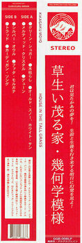 Δίσκος LP Kikagaku Moyo - House In The Tall Grass (LP) - 3