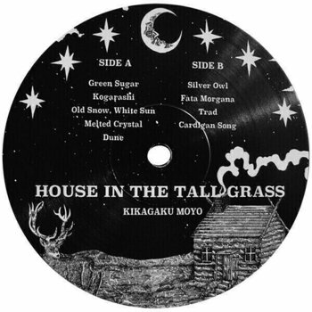 Δίσκος LP Kikagaku Moyo - House In The Tall Grass (LP) - 4