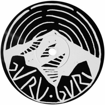 Δίσκος LP Kikagaku Moyo - House In The Tall Grass (LP) - 5