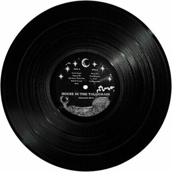 Δίσκος LP Kikagaku Moyo - House In The Tall Grass (LP) - 6
