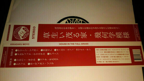 Δίσκος LP Kikagaku Moyo - House In The Tall Grass (LP) - 7