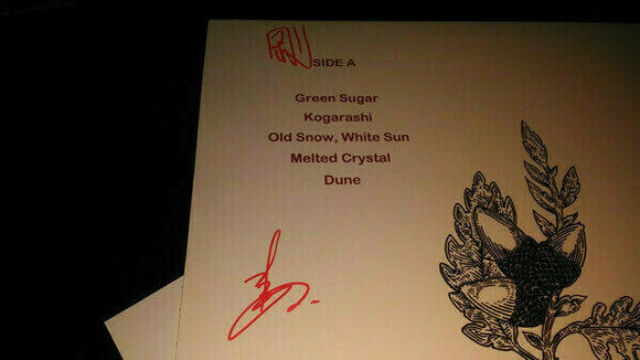 Δίσκος LP Kikagaku Moyo - House In The Tall Grass (LP) - 8