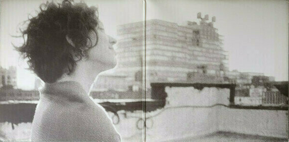 Δίσκος LP Ani Difranco - Knuckle Down (LP) - 2