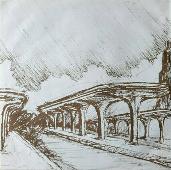 Δίσκος LP Ani Difranco - Knuckle Down (LP) - 8