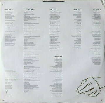 Δίσκος LP Ani Difranco - Knuckle Down (LP) - 9