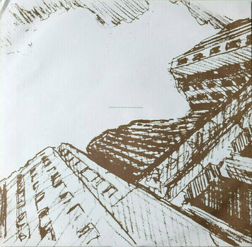 Δίσκος LP Ani Difranco - Knuckle Down (LP) - 10