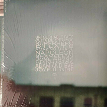 Disque vinyle Ani Difranco - Dilate (2 LP) - 3