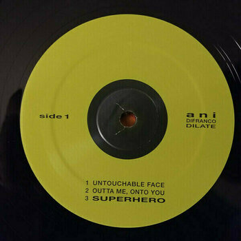 Disque vinyle Ani Difranco - Dilate (2 LP) - 6