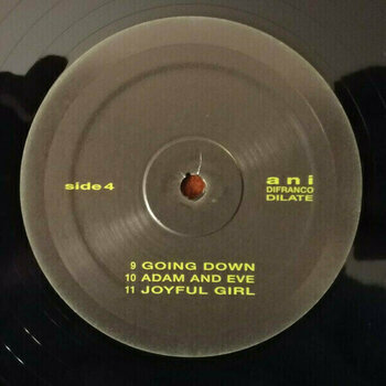 Disque vinyle Ani Difranco - Dilate (2 LP) - 9
