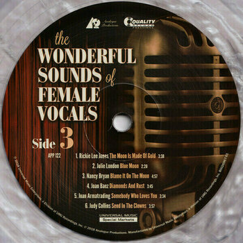 Vinilinė plokštelė Various Artists - The Wonderful Sounds of Female Vocals (200g) (2 LP) - 4