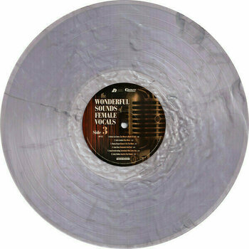 Vinilinė plokštelė Various Artists - The Wonderful Sounds of Female Vocals (200g) (2 LP) - 8