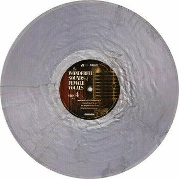 Vinilinė plokštelė Various Artists - The Wonderful Sounds of Female Vocals (200g) (2 LP) - 9