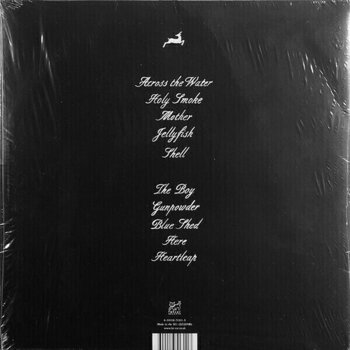 Δίσκος LP Vashti Bunyan - Heartleap (LP) - 2