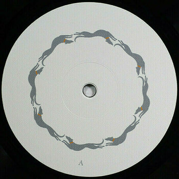 Δίσκος LP Vashti Bunyan - Heartleap (LP) - 3