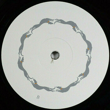 Δίσκος LP Vashti Bunyan - Heartleap (LP) - 4