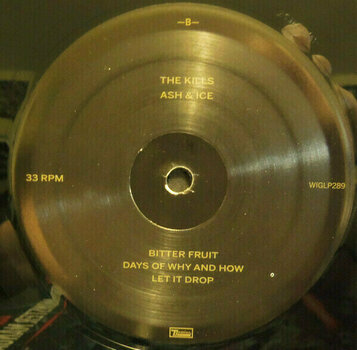 Disco in vinile The Kills - Ash & Ice (2 LP) - 4