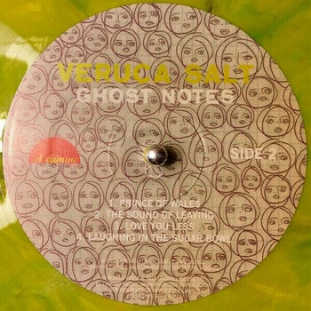 Disque vinyle Veruca Salt - Ghost Notes (Coloured Vinyl) (2 LP) - 5