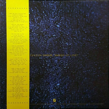 Hanglemez Childish Gambino - Awaken My Love! (Box Set) (45 RPM) (180g) - 2
