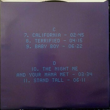 Hanglemez Childish Gambino - Awaken My Love! (Box Set) (45 RPM) (180g) - 6