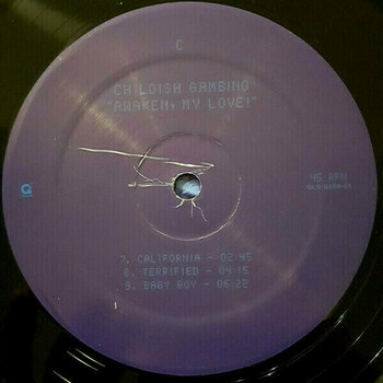 Disco in vinile Childish Gambino - Awaken My Love! (Box Set) (45 RPM) (180g) - 11
