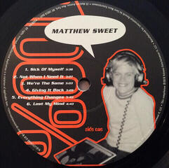 Hanglemez Matthew Sweet - 100% Fun (2 LP) (180g) - 1