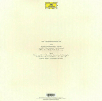 Płyta winylowa Chilly Gonzales/Jarvis Cocker - Room 29 (LP) (180g) - 2