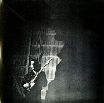 Disc de vinil JD McPherson - Undivided Heart & Soul (LP) (150g) - 5