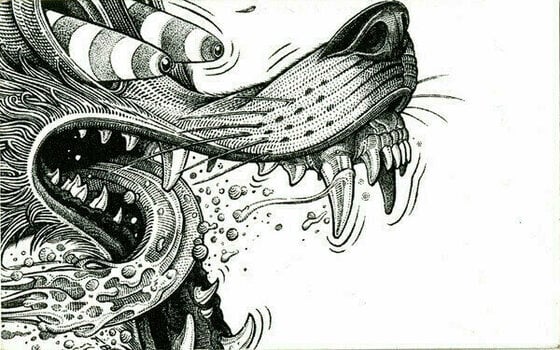 Disc de vinil JD McPherson - Undivided Heart & Soul (LP) (150g) - 6