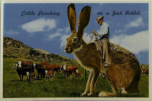 Δίσκος LP Thomas Newman - The Shawshank Redemption (Gatefold) (2 LP) - 6