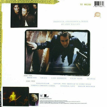 Hanglemez Jeff Buckley - Grace (LP) (180g) - 2
