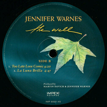 Disco in vinile Jennifer Warnes - The Well (3 LP) (180g) (45 RPM) - 4