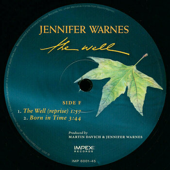 LP Jennifer Warnes - The Well (3 LP) (180g) (45 RPM) - 8