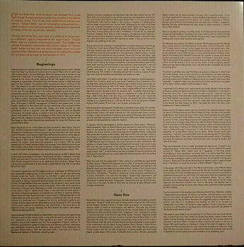 Δίσκος LP Mike Oldfield - Tubular Bells (Gray Coloured Vinyl) (180g) (LP) - 5