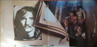 LP plošča Joe Walsh - The Smoker You Drink, The Player You Get (200g) (LP) - 3