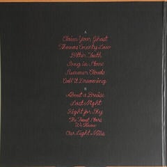 Schallplatte Iron and Wine - Beast Epic (Coloured) (2 LP) - 1