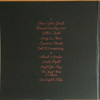 Płyta winylowa Iron and Wine - Beast Epic (Coloured) (2 LP) - 2