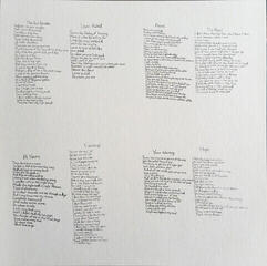 Schallplatte John Frusciante - Curtains (Reissue) (LP) - 4
