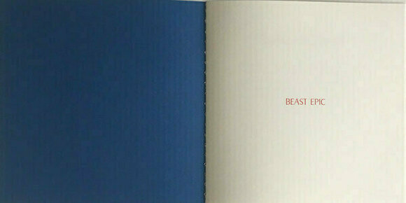 Płyta winylowa Iron and Wine - Beast Epic (Coloured) (2 LP) - 9