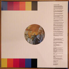 LP ploča Modest Mouse - Night On The Sun (LP) - 3