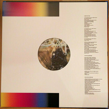Δίσκος LP Modest Mouse - Night On The Sun (LP) - 5
