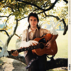 Vinylplate Wings Wild Life (2 LP) (180g) - 7