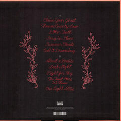 Vinyylilevy Iron and Wine - Beast Epic (LP) - 1