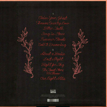 Грамофонна плоча Iron and Wine - Beast Epic (LP) - 2