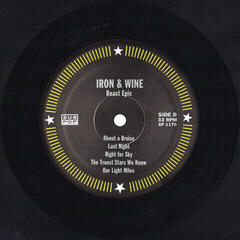 Vinyylilevy Iron and Wine - Beast Epic (LP) - 3