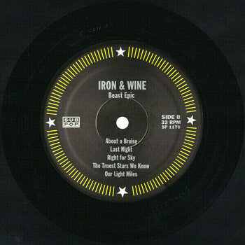 Vinyl Record Iron and Wine - Beast Epic (LP) - 4