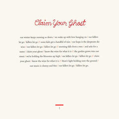 Vinyylilevy Iron and Wine - Beast Epic (LP) - 6