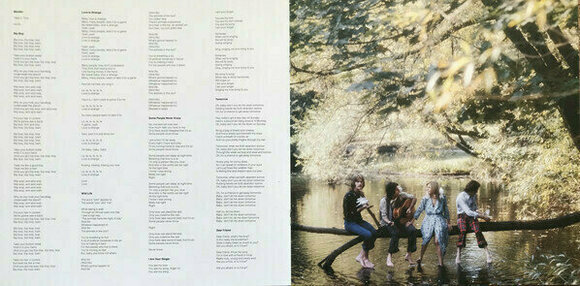 LP Paul McCartney and Wings - Wild Life (2 LP) (180g) - 12