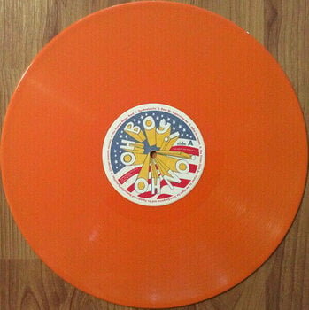 LP Sufjan Stevens - The Avalanche (Coloured Vinyl) (2 LP) - 4