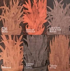 Vinyylilevy Iron and Wine - Weed Garden (12" Vinyl) - 4