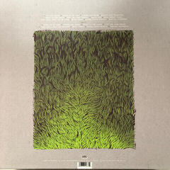 LP ploča Iron and Wine - Our Endless Numbered Days (Deluxe Edition) (2 LP) - 1